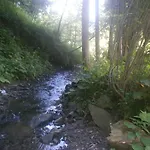 Pid Skeleyu Lazeshchyna