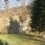 Pid Skeleyu